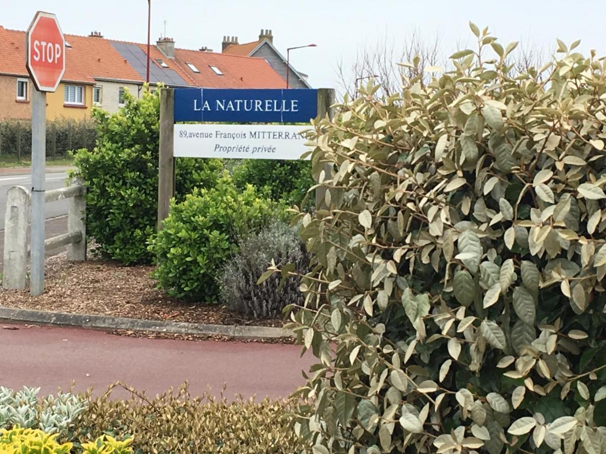 La Mer Vue D'En Haut , Duplex A La Naturelle Sur La Cote D'Opale Wimereux Luaran gambar